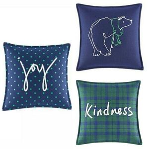 Ed by Ellen Degeneres Mini Throw Pillows